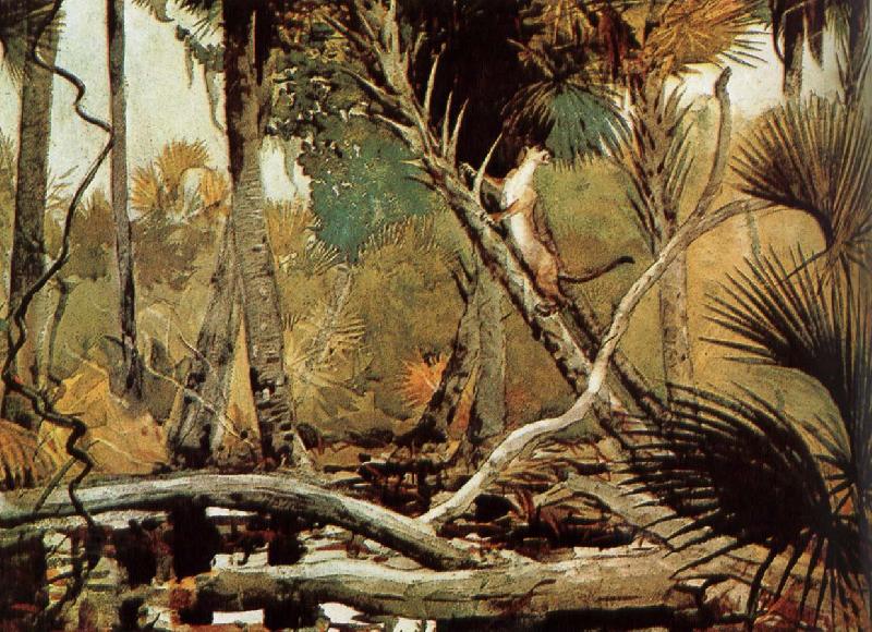 Winslow Homer Florida Jungle China oil painting art